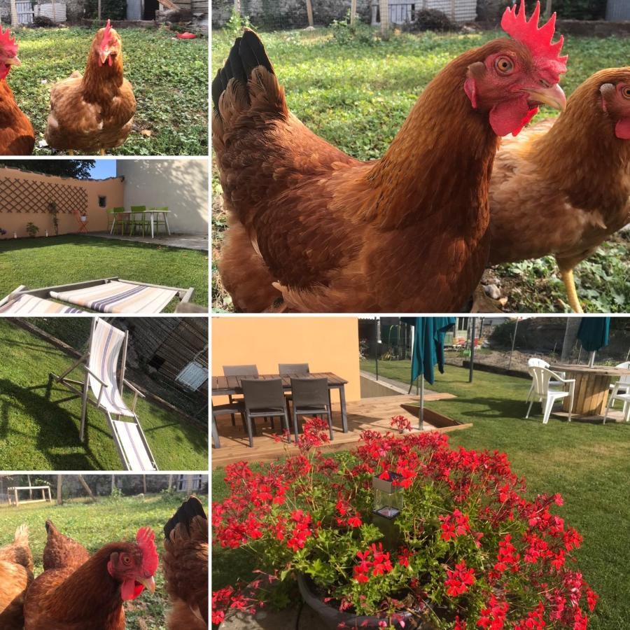 Les Gites De La Frerie La Gaubretiere Bagian luar foto